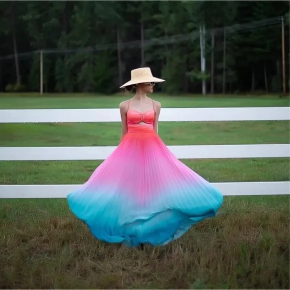 amur dresses Amur Halter Pleated Maxi Dress  Bluefly